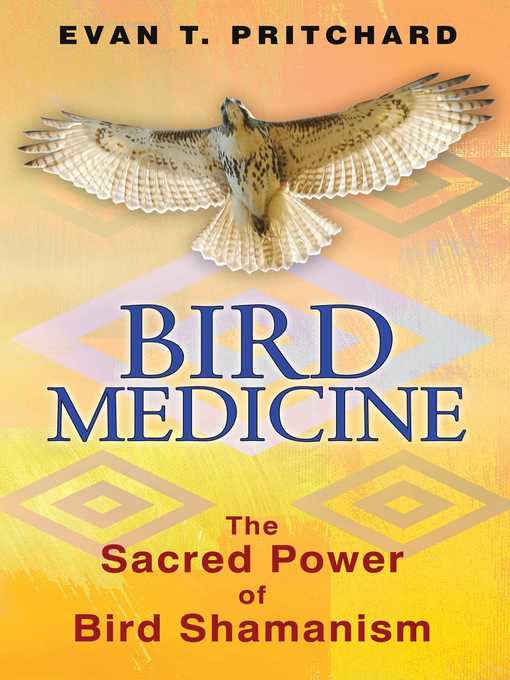 Cover image for Bird Medicine